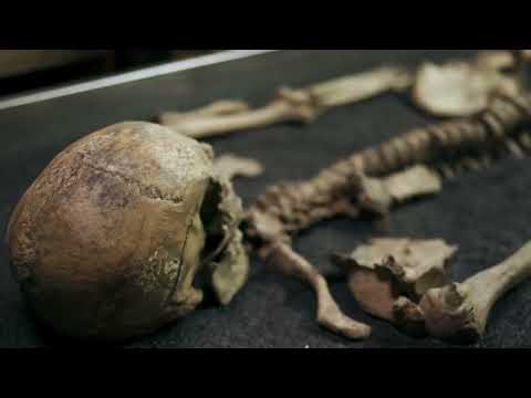 Lucy Worley Investigates'