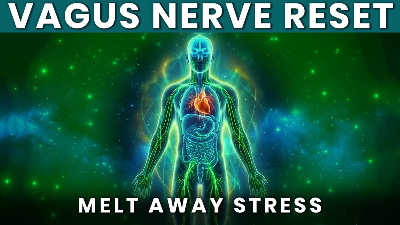 528 Hz Nervous System Healing Frequency: Activate Vagus Nerve & Relax