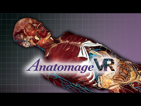 Committed to Anatomage's legacy of real anatomy, Anatomage VR empowers students to explore the world's most realistic human anatomy through a virtual reality headset.