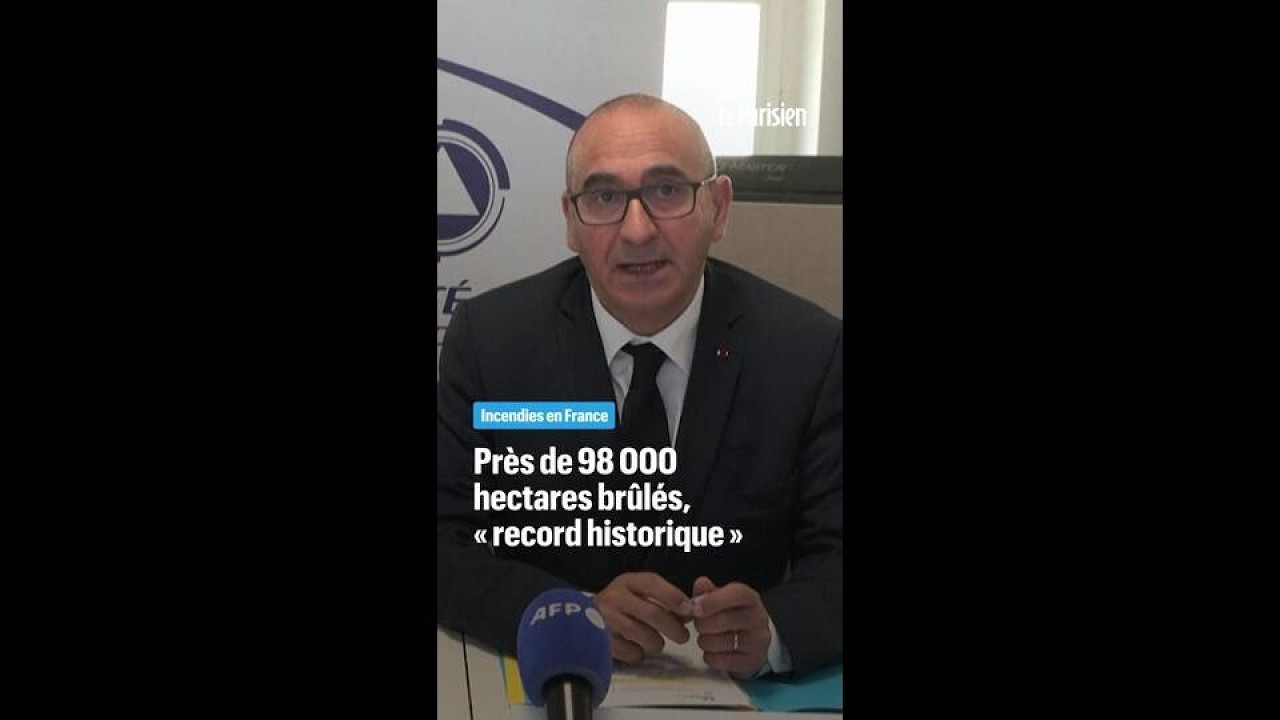 Incendies en France : un « record historique » avec 98 000 hectares brûlés cette année