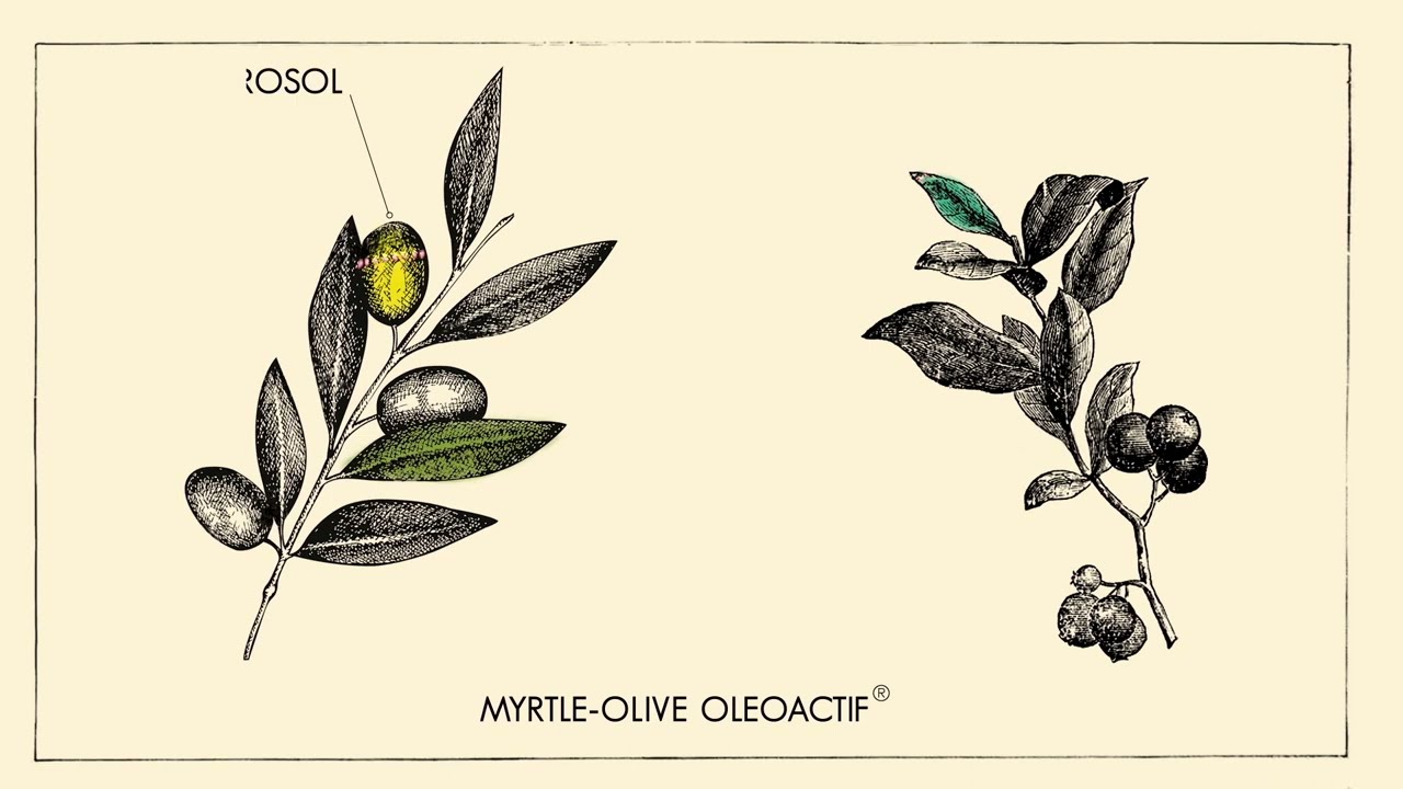 Oléos—Myrtle-Olive Video