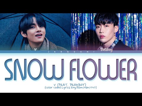 BTS V 'Snow Flower' Lyrics (feat. Peakboy) (방탄소년단 뷔 Snow Flower 가사) (Color Coded Lyrics)