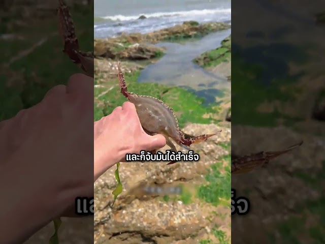 ของกินหรือของแปลก เมื่อชายคนนี้ลองกินทุกอย่างที่เจอ! #shorts #interesting #viralvideo #อาหาร
