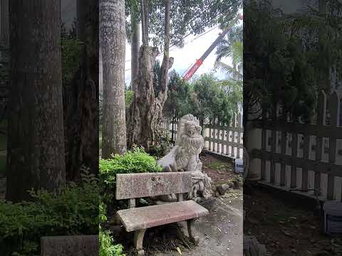 Ảnh đại diện