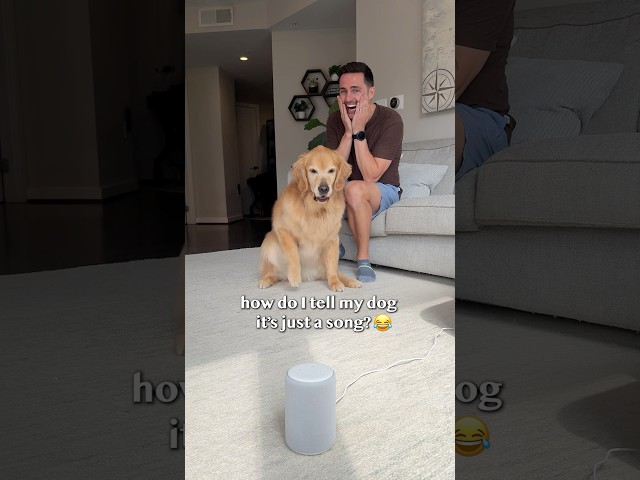 We had to ban this song in our house 😬
