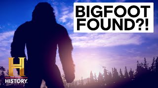 The Proof Is Out There: 5 Mysterious Bigfoot Encounters | History