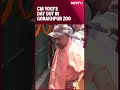 UP CM Yogi Takes Stock Of Arrangements At Gorakhpur Zoo Amid Heatwave  - 00:44 min - News - Video