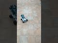 Miniatura video