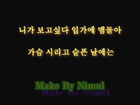 SS501 Because i'm stupid lyrics korean