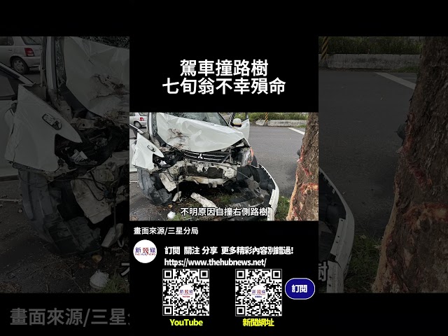 影音/駕車撞路樹 七旬翁殞命
