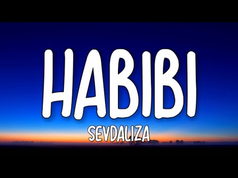 Sevdaliza - Habibi (Lyrics)