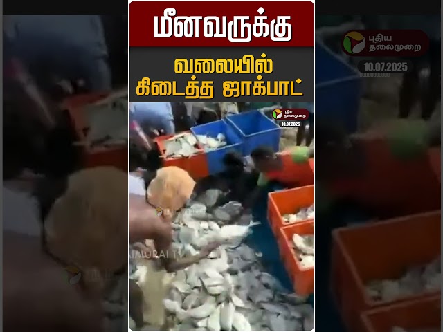 மீனவருக்கு வலையில் கிடைத்த ஜாக்பாட் | Ramanadhapuram | Fisherman
