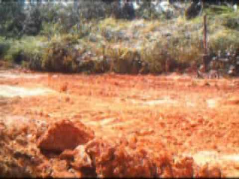 WWF Video of Sumatran tiger and bulldozer