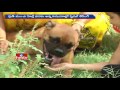 Dog care centres growing in Hyderabad