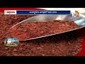 మార్కెట్ మాయాజాలంత...కోకో రైతులు చిత్తు | Cocoa Farmers Struggling | Matti Manishi | 10TV News  - 05:26 min - News - Video