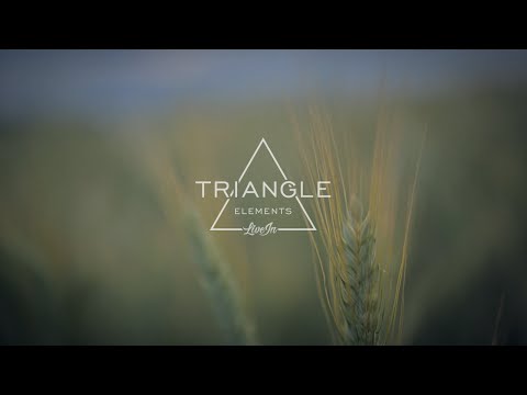 Triangle - Elements