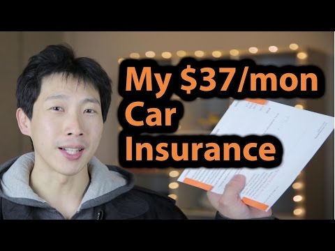 My $37 a Month Car Insurance | BeatTheBush