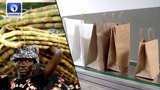 Mozambique Entrepreneur Makes Paper Bags From Sugar Cane Waste + More | Eco Africa