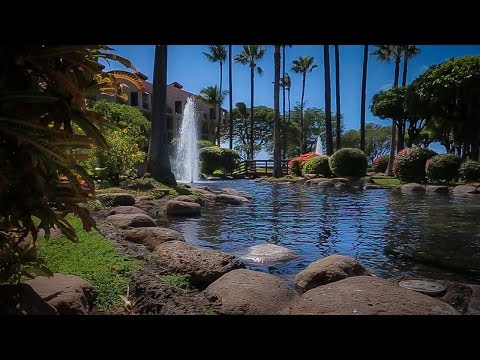 Property video