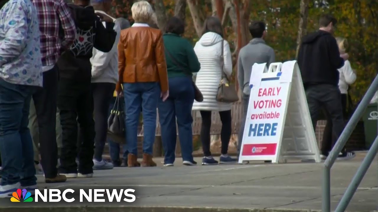 Georgia grants powers to local officials to investigate election results