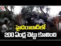 200 Years Old Tree Collapsed Due TO Heavy Rain In Tolichowki | Hyderabad Rains | V6 News