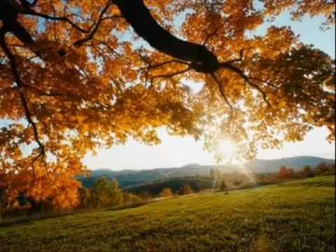 전인권 - 걱정말아요 그대