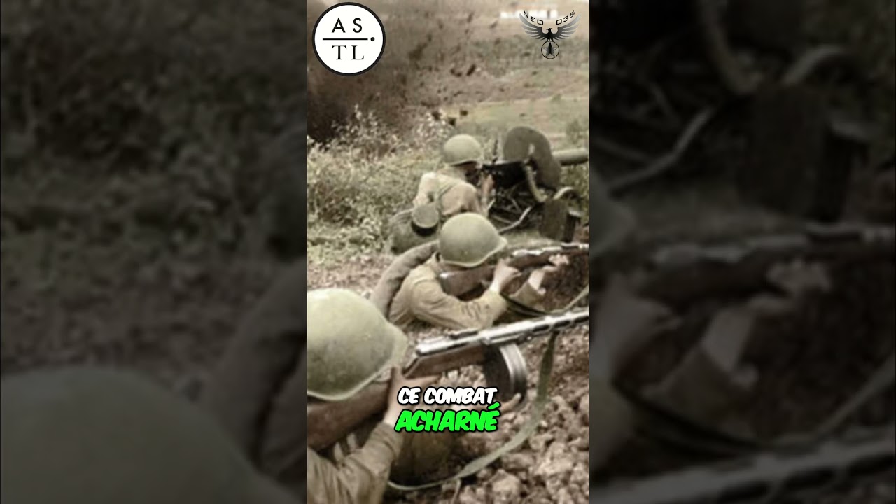 Stalingrad: La Bataille qui a Changé le Monde! #shorts