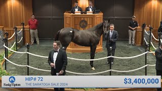 Not This Time colt sells for $3,400,000 at The Saratoga Sale (2024)