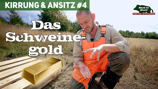 Welches Kirrmittel? | Kirrung und Ansitz #4