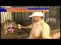 Balaiah takes care of wild cats in Vizag zoo