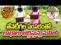 తేనెటీగల పెంపకంతో లాభాలు | Beekeeping Business Success Story | Honey Bee Farming | Matti Manishi