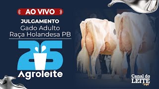 Agroleite 2025 - Julgamento do Gado Adulto da Raça Holandesa Preto e Branco