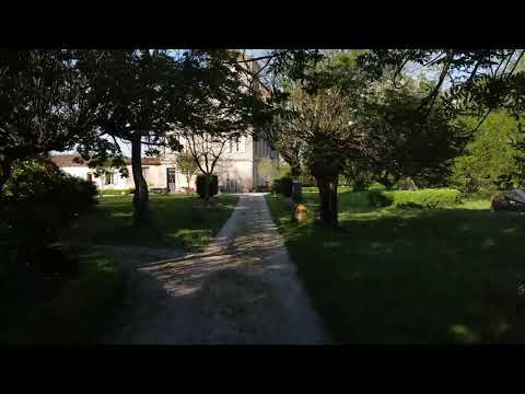 Property video