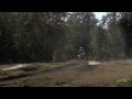 AJ Catanzaro Insane Scrub 