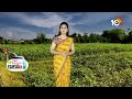 బెండసాగుతో లాభాలు ఆర్జిస్తున్న రైతు | Lady Finger Cultivation | Matti Manishi | 10TV  - 05:18 min - News - Video