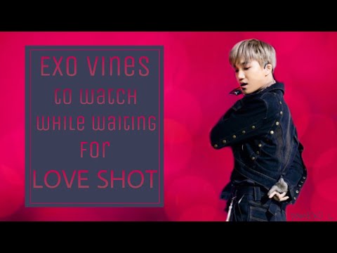 EXO Vines to watch while waiting for LOVE SHOT