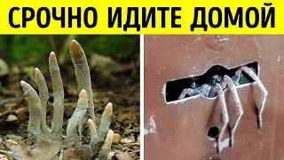 Эти фотографии взбодрят вас, как двойной эспрессо