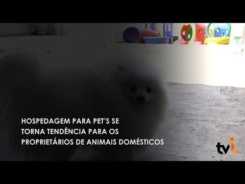 Vídeo: Hospedagem para PET’s se torna tendência para os proprietários de animais domésticos
