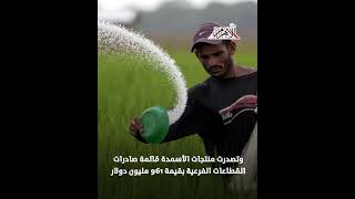   انتعاش صادرات الكيماويات والأسمدة المصرية