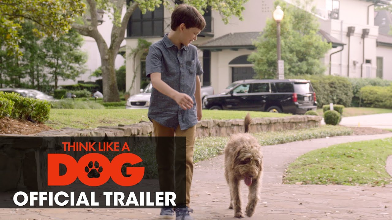 Trailer de Think Like a Dog