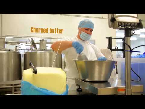 jordan kacy sample icecream
