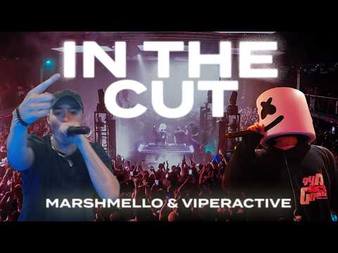 Marshmello x Viperactive - In The Cut (Live @ Echostage, Washington DC)