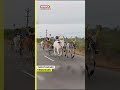 Elkai race using bullock carts was organized during the Chitra Pongal festival near Kovilpatti  - 00:17 min - News - Video