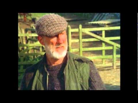 Owd Bob'
