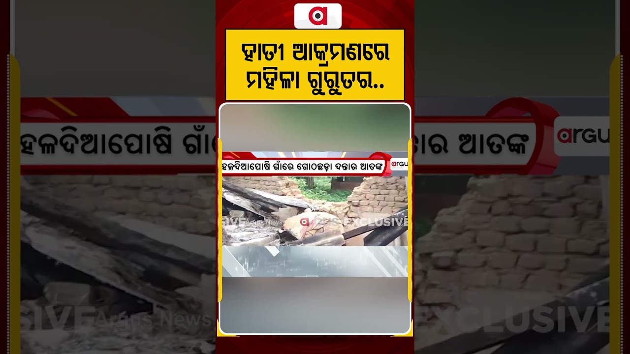 ହାତୀ ଆକ୍ରମଣରେ ମହିଳା ଗୁରୁତର | Elephant Attack | Man Animal Conflict | Forest Department | Argus News