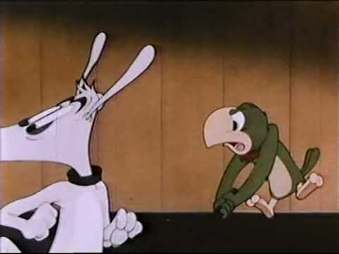 Coo-Coo Bird Dog'