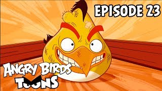 Angry Birds Toons #23 - Rozbja brny