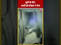 Rajasthan:  Pali में Dog के तीन बच्चों को Cobra ने घेरा #shorts #shortsvideo #viralvideo