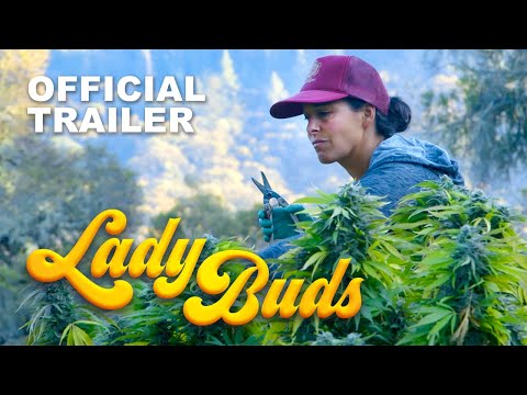 Lady Buds'
