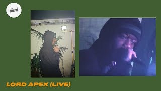 Lord Apex live | Keep Hush Live: Kallida Festival